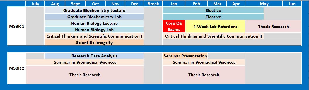 MSBR Curriculum