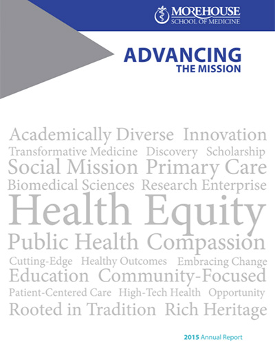 MSM 2015 Annual Report Cover